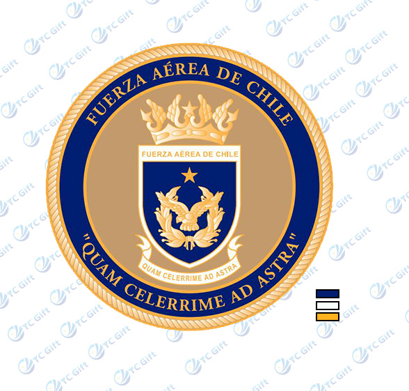 Chilean Challenge Coin