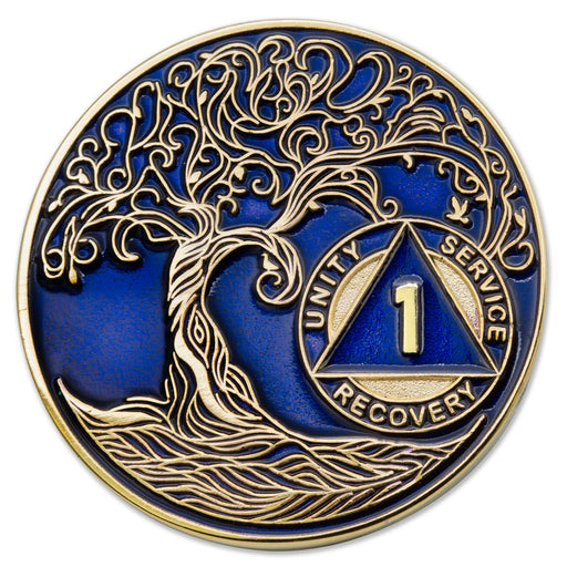 custom aa coin