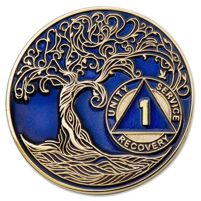 custom aa coin
