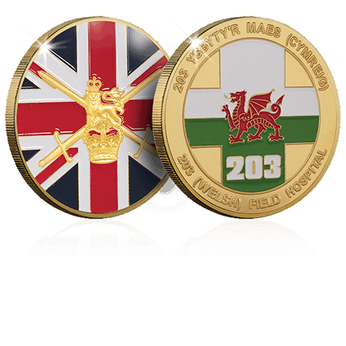 UK Army coin