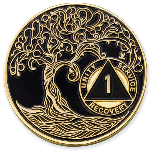 custom aa coin